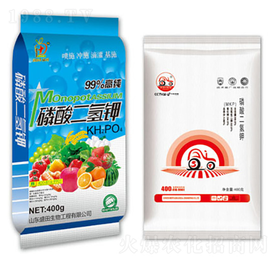 ��������-ʢ������