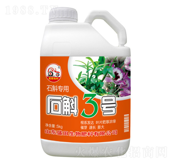 ʯ������3̖(h��o)-ʢ������