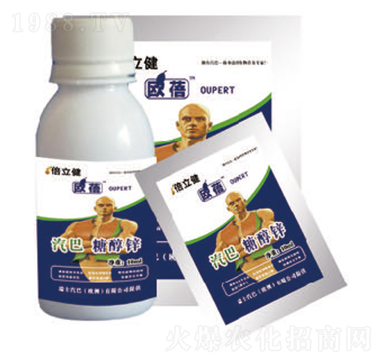 �Ǵ��\-������-�����r�I(y��)