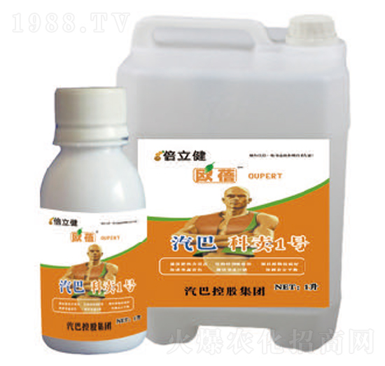 ���u1̖-������-�����r(n��ng)�I(y��)