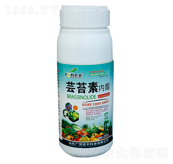 �|̦�؃�(n��i)��-�����Ƽ�