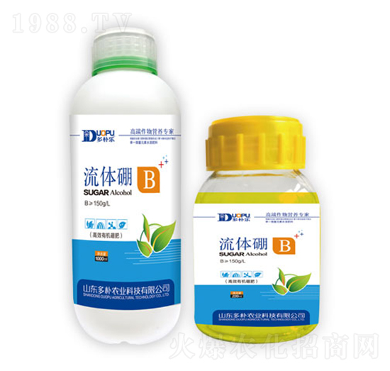 ���w��-�����Ƽ�