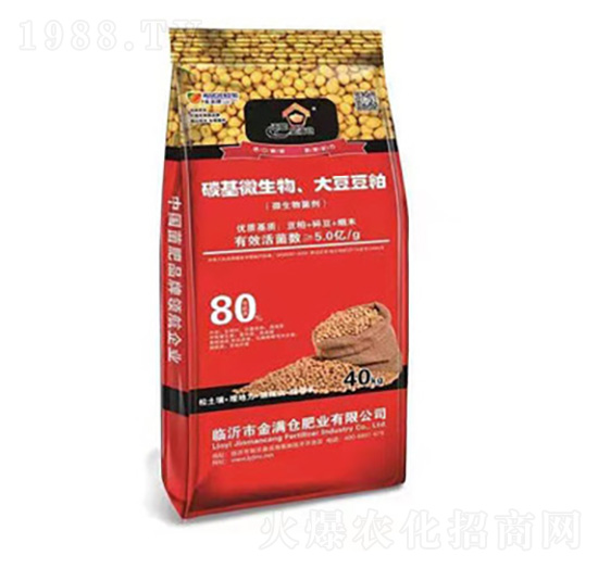 ̼��΢�������󶹶���-��M�}