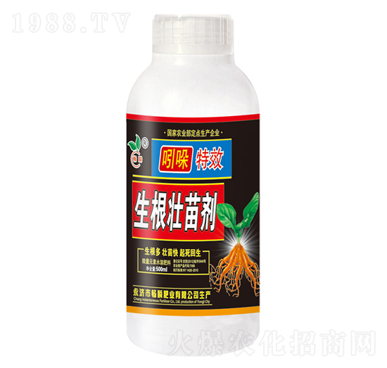 ������Ч�������焩-��˲