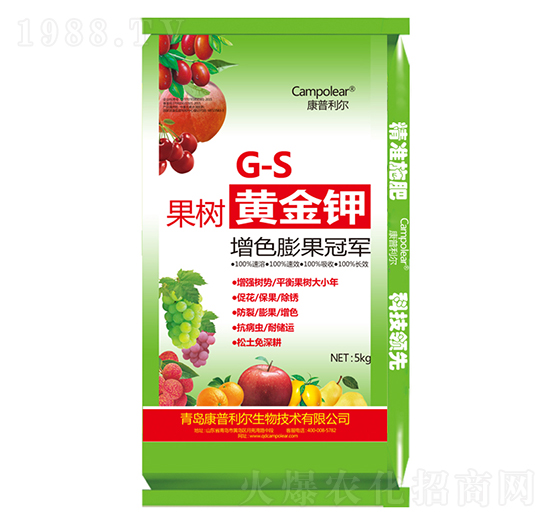 �����S���-��������