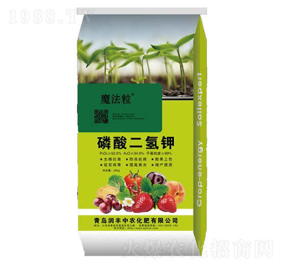 ��������-ħ����-���S���r