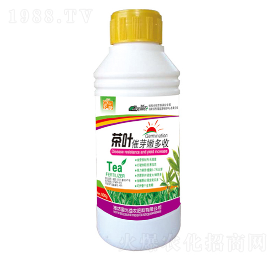 500g���~��ѿ�۶���-�������r