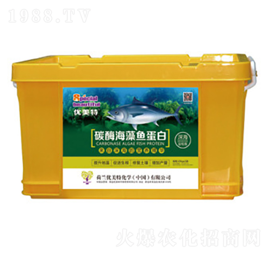 ̼ø�����~(y��)����-��(y��u)����-����r(n��ng)�I(y��)