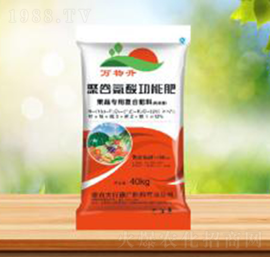 ���ߌ��þ۹Ȱ��Ṧ�ܷ�-ʢ�A�r�I(y��)