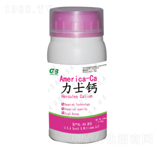 ľ�|(zh��)�Ǵ����w�}-��ʿ�}-���A��