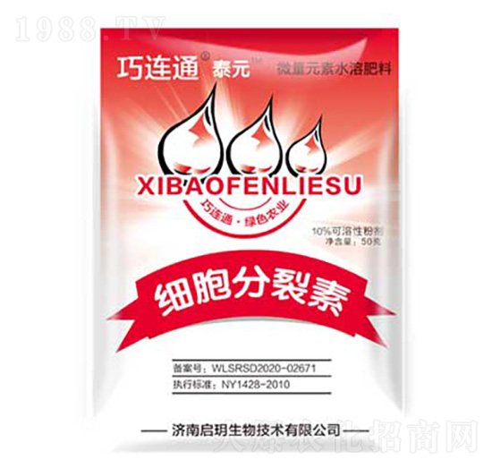 ���������� ����