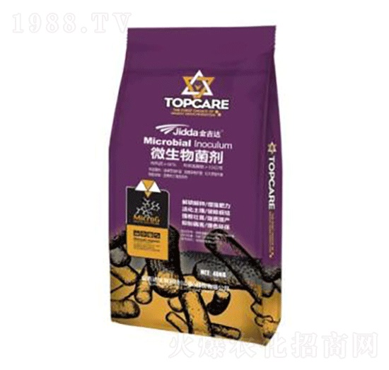 ΢�������-���_(d��)