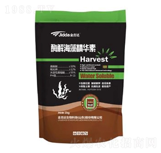 ø�⺣�徫�A��-���_(d��)