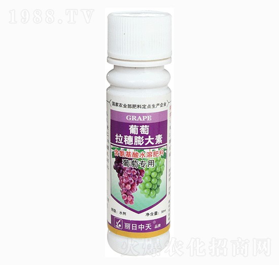 �������������-����ʘI(y��)