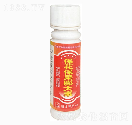 �������������-����ʘI(y��)