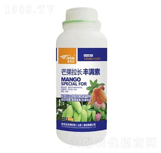 â�����L�S�M��-���_