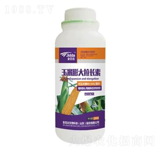 ����������L��-���_(d��)