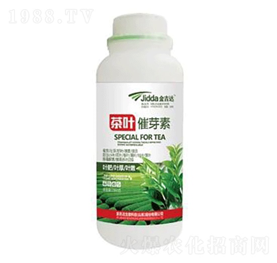 ���~��ѿ��-���_