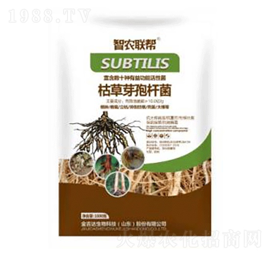 1000g�ݲ�ѿ�ߗU��-���_(d��)