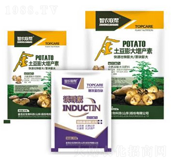 ����������a��-���_