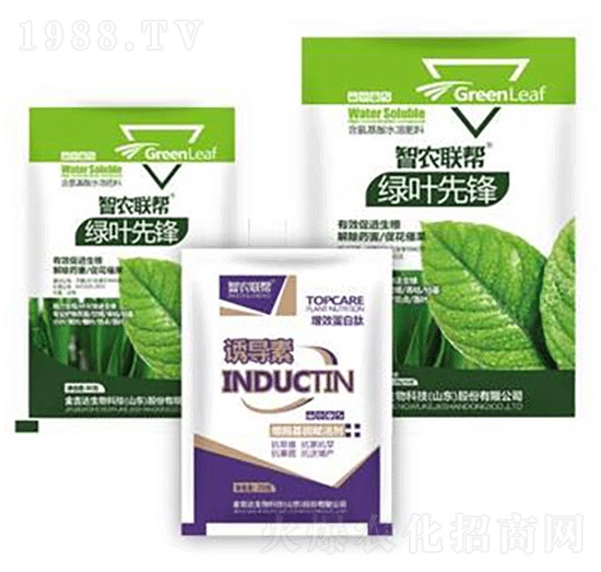 �G�~���h-���_(d��)