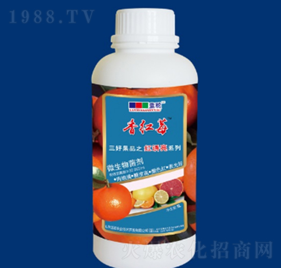 ΢�������-�t�T��-�{��r�I(y��)