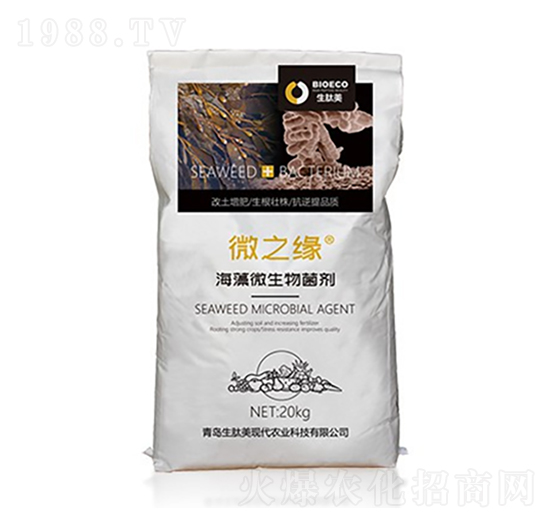 ����΢�������-΢֮��-������