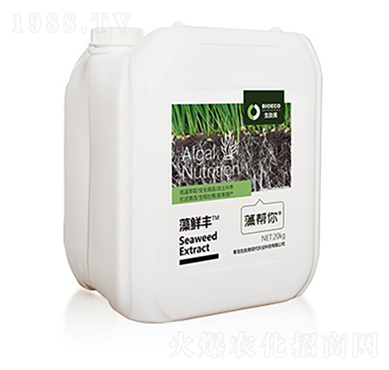 ���r�S-�����-������