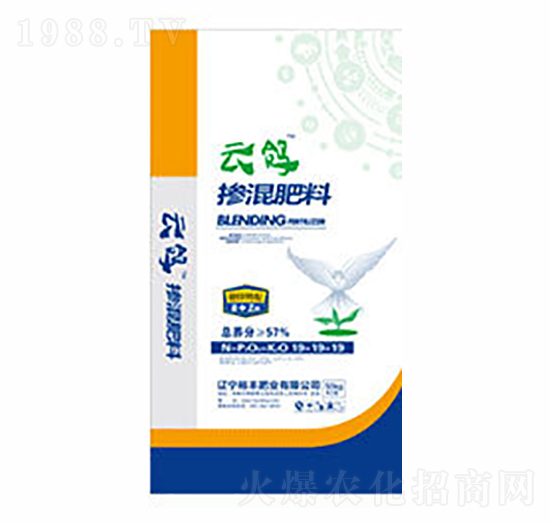 ��ጓ������-����-ԣ�S�ʘI(y��)