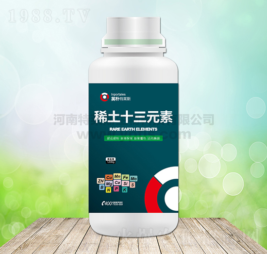 ϡ��ʮ��Ԫ��-Ӣ�����R˹