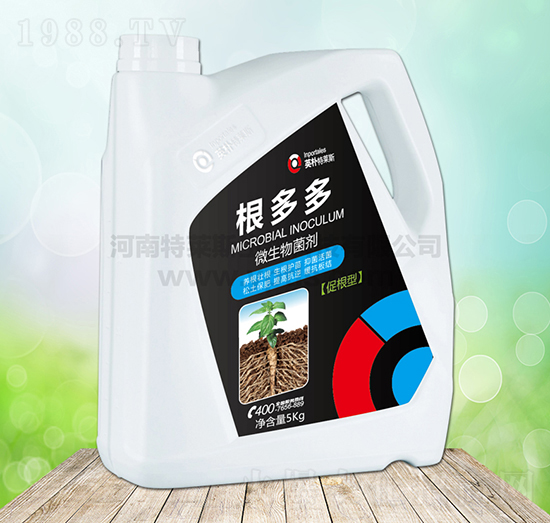 ����ࣨ΢���������-Ӣ�����R˹