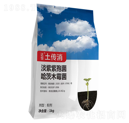 ������-���ʘI(y��)