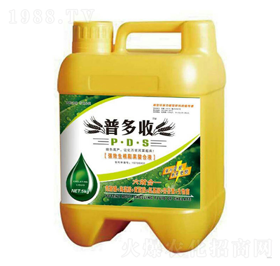 �����������Һ-�ն���