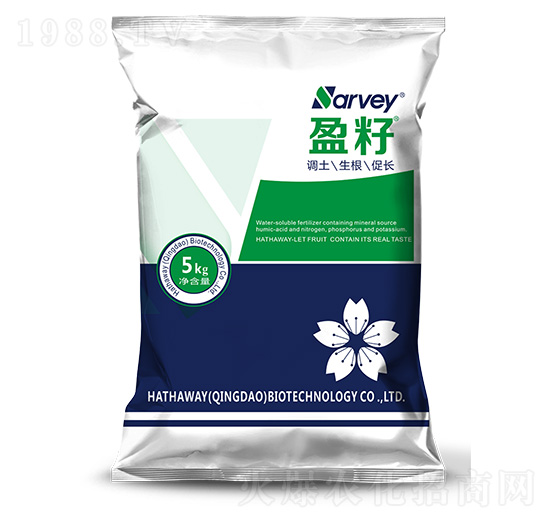 ӯ��-�����f