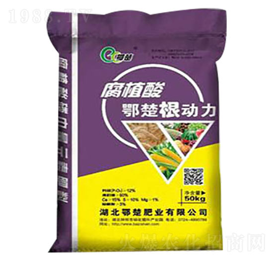 ��ֲ�������-����-����ɽ