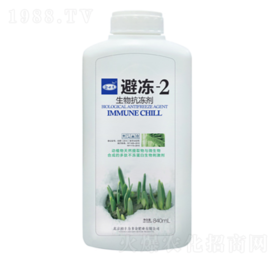 ���￹����-�܃�-2-��؁�-�����