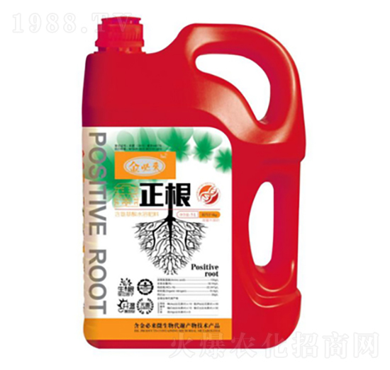 ������-��؁�-�����