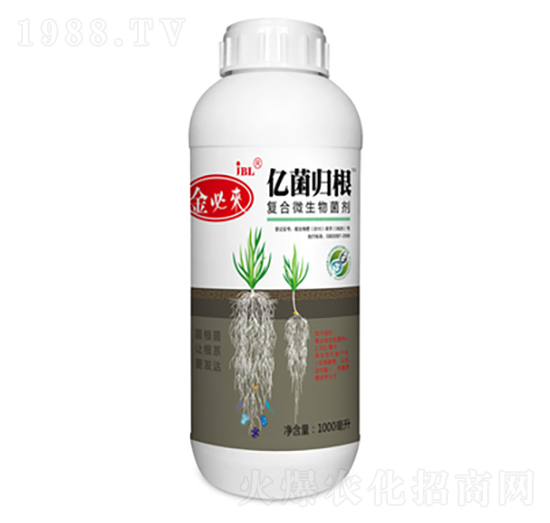 ��(f��)��΢�������-��؁�|���w��-�����