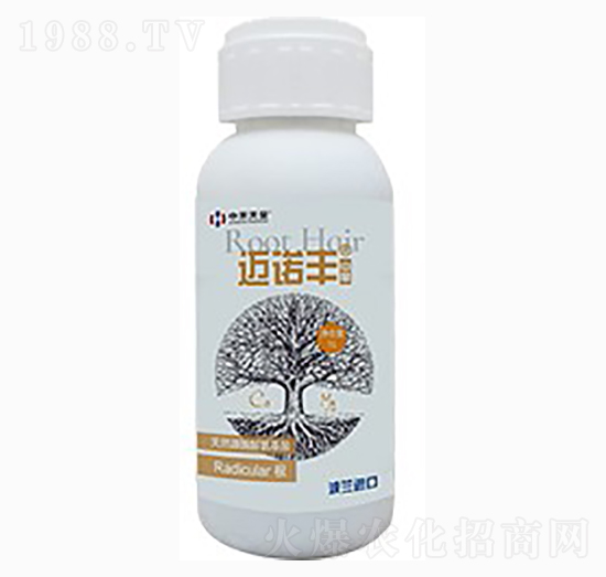 �~�Z�S��������-�к����