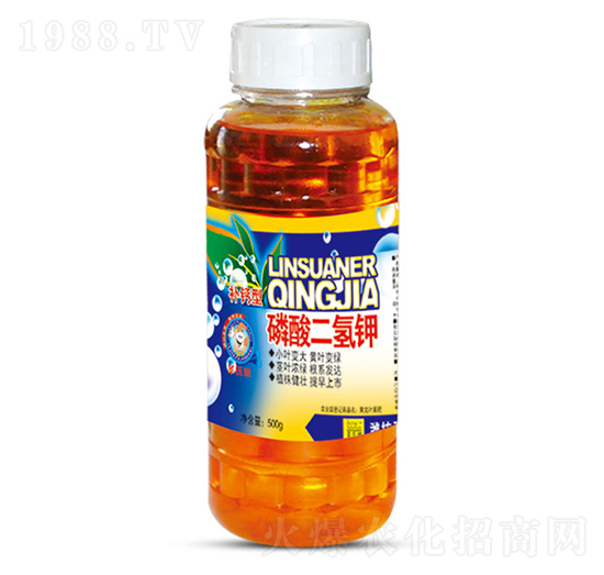 500g��������-ʥ�ϝ�