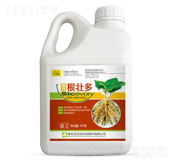 ���Ѷ�-ʥ�ϝ�(r��n)