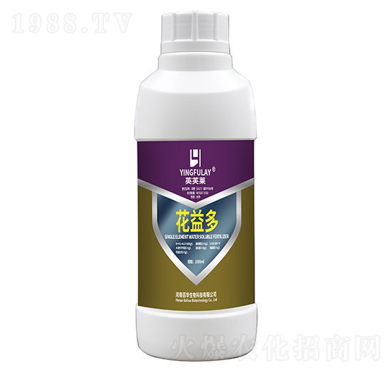 �����-Ӣܽ�R-���A����