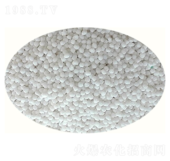 ����(j��)��TM��ጵ���-�߸�