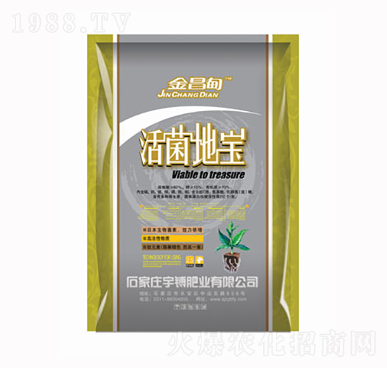 ����،�-�����-���D�ʘI(y��)