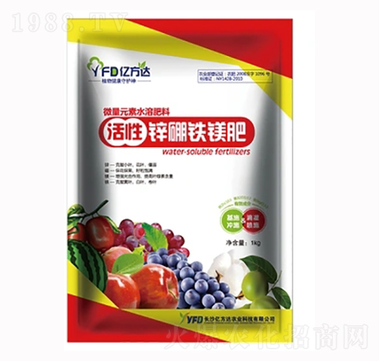 �����\���F�V��-���r(n��ng)����