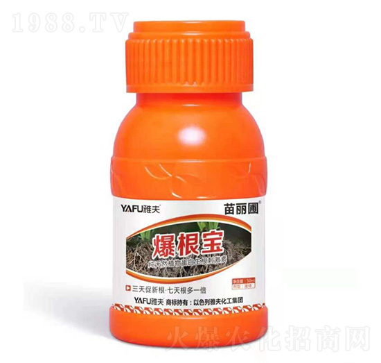 ������-������-�ŷ򻯹�