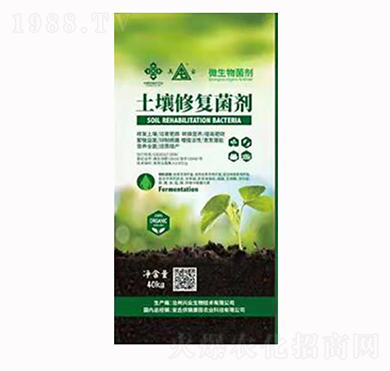 �����ޏ�(f��)����-���N����