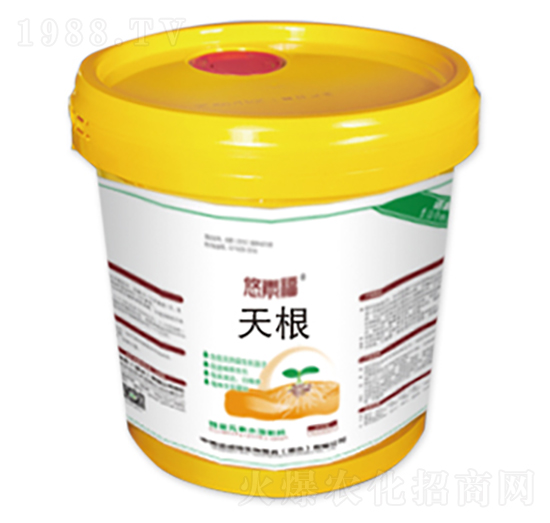 ���-���ظ�-�����Z����