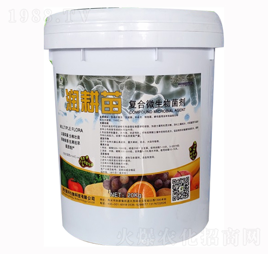 20L��(f��)��΢�������-��(r��n)����-��������