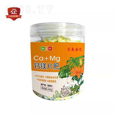 �}�VƬ��-������